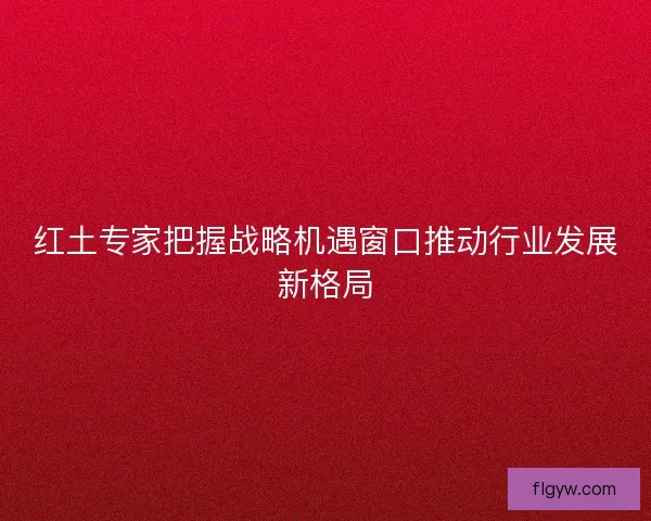 红土专家把握战略机遇窗口推动行业发展新格局
